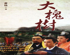 陈好个人资料简历 简介,影视才女，多栖发展的人生轨迹