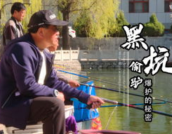 钓鱼视频教学,从入门到精通的全面指南
