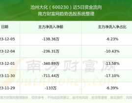 股票600230,深度解析其投资价值与市场动态