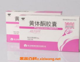 孕酮是什么,女性生殖健康的守护者与奥秘解析
