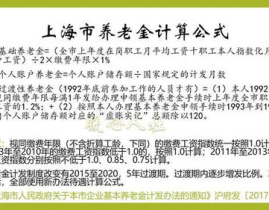 上海养老金缴纳比例,揭秘缴费比例背后的民生关怀