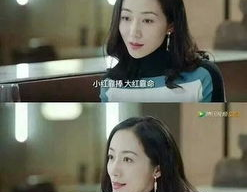 娱乐圈吃大瓜小说推荐,跟随小说探寻明星背后的秘密与真相
